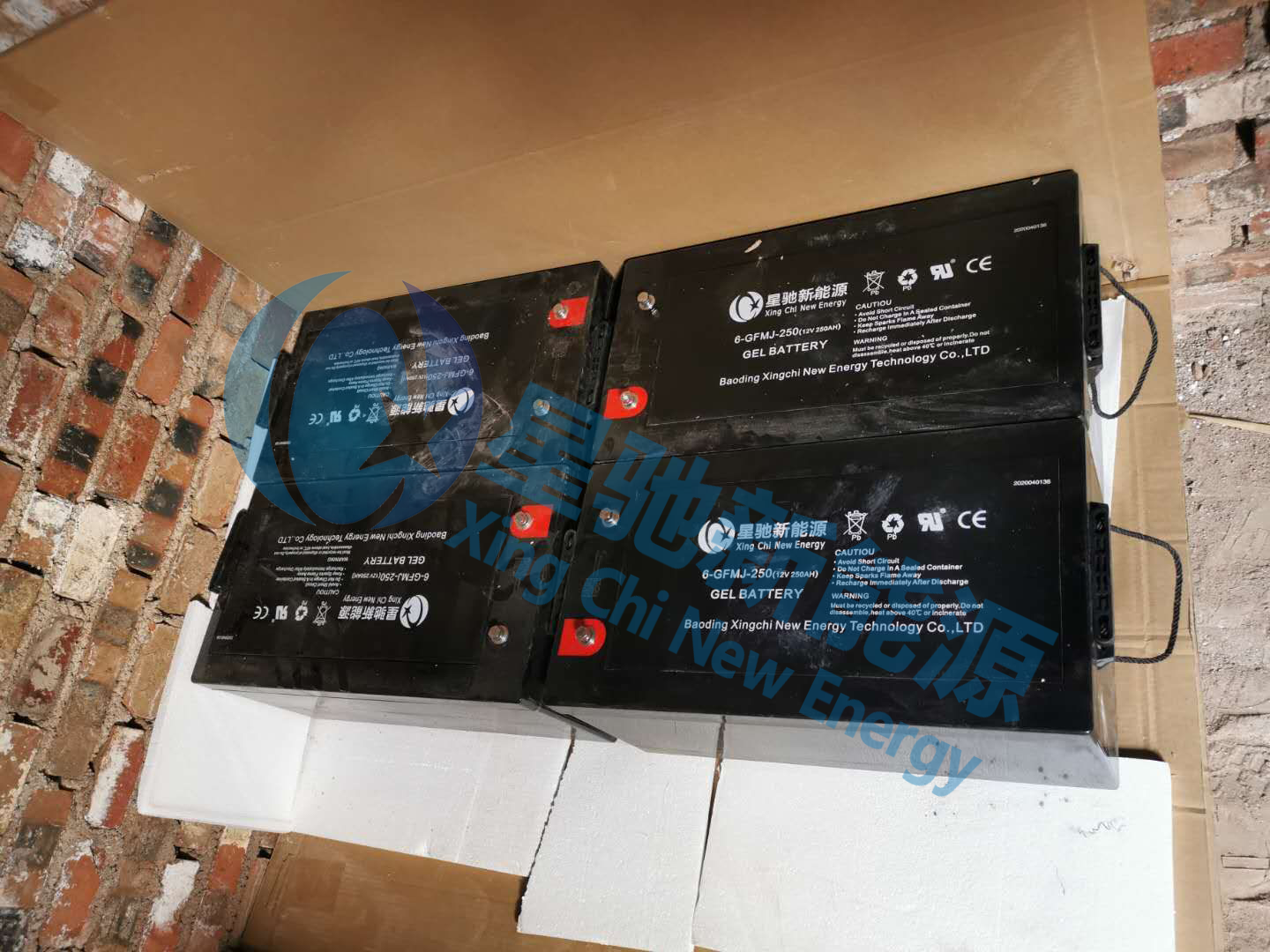 �B(y��ng)ֳ������x�W���ϵ�y(t��ng)